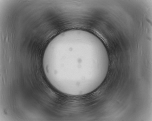 X0000095900117200801110813