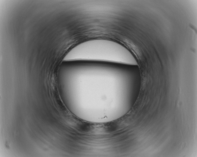 X0000095900121200801110813