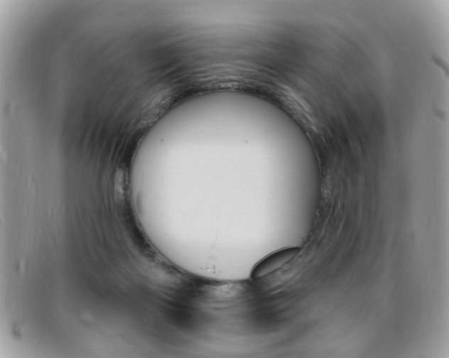 X0000095900122200801110813