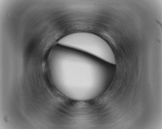 X0000095900123200801110813