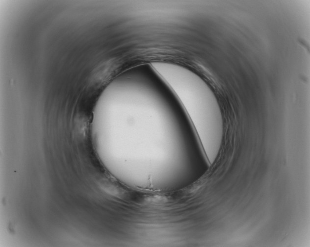 X0000095900125200801110813