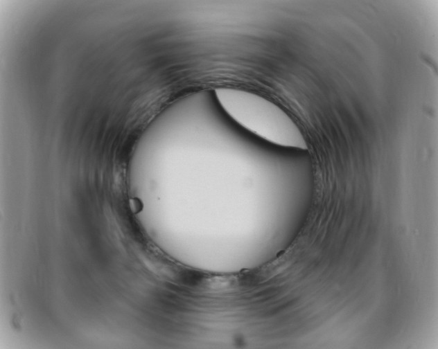 X0000095900126200801110813