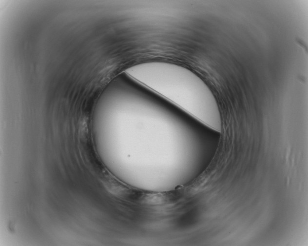 X0000095900127200801110813