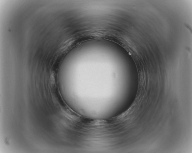 X0000095900128200801110813