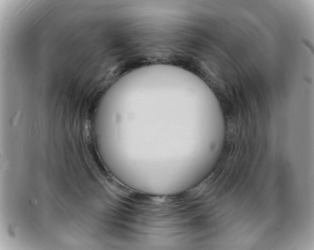 X0000095900130200801110813