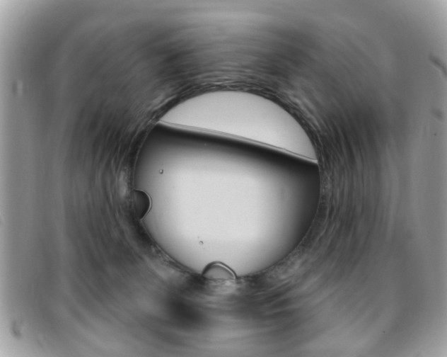 X0000095900131200801110813