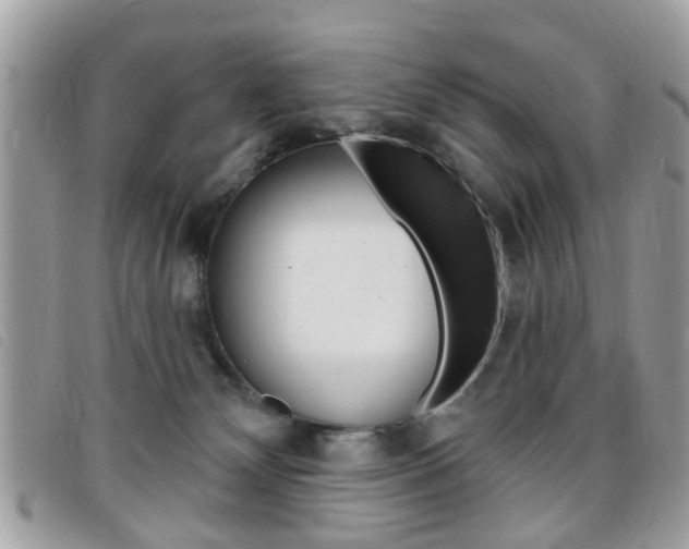 X0000095900132200801110813