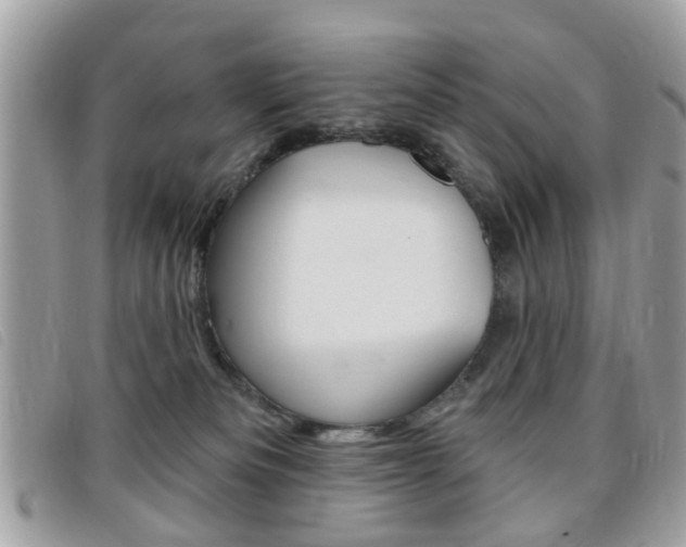X0000095900133200801110813