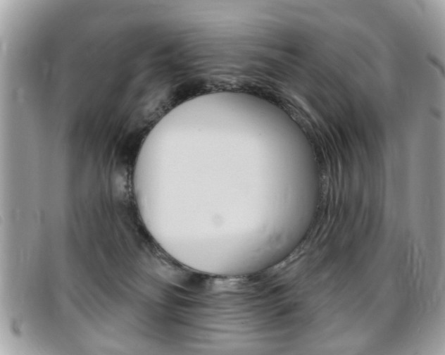 X0000095900134200801110813