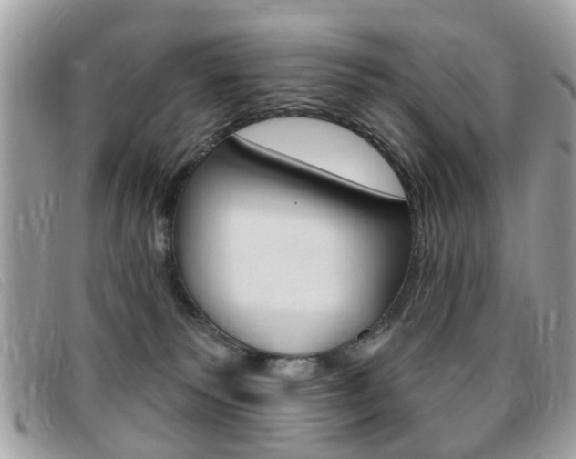 X0000095900135200801110813