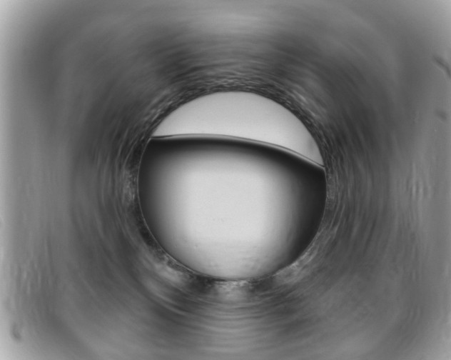 X0000095900136200801110813