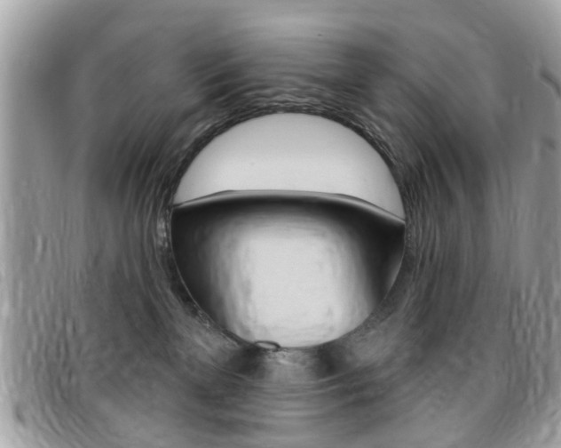 X0000095900137200801110813