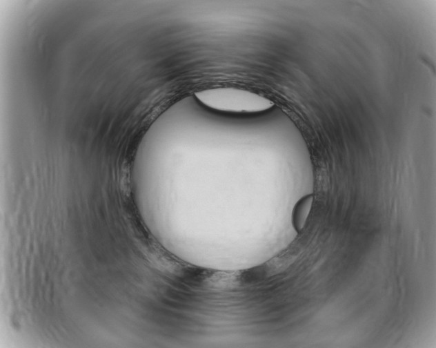 X0000095900138200801110813