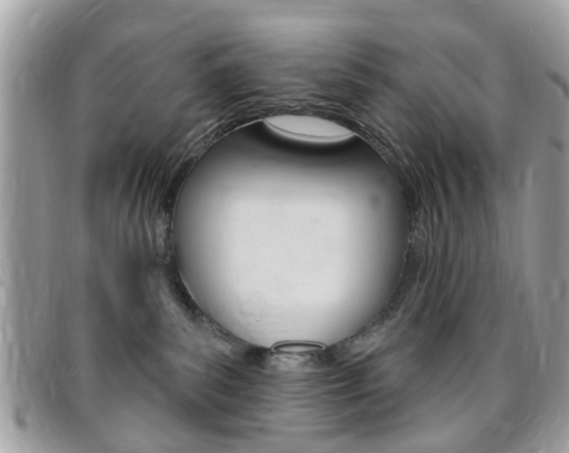 X0000095900139200801110813