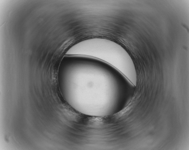 X0000095900140200801110813