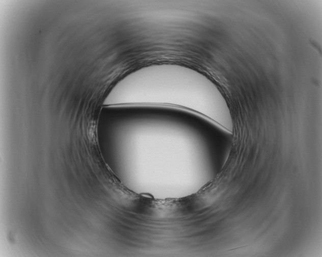 X0000095900141200801110813