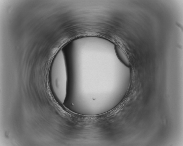 X0000095900145200801110812