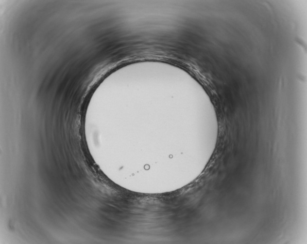 X0000095900146200801110812