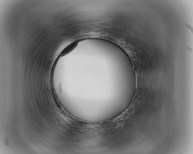 X0000095900147200801110812