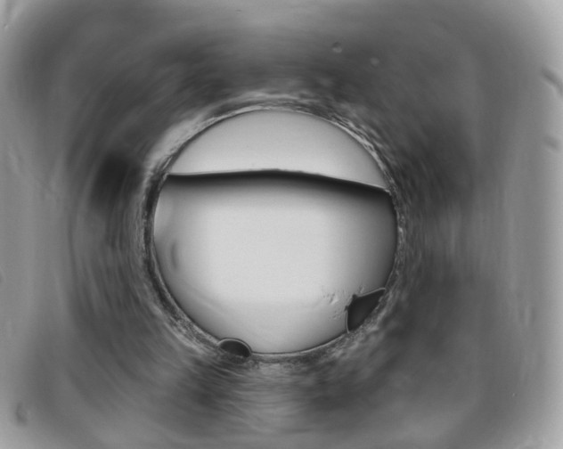 X0000095900149200801110812