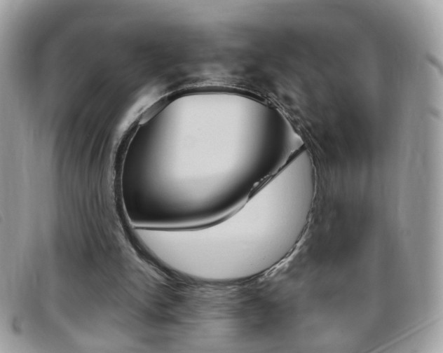 X0000095900150200801110812