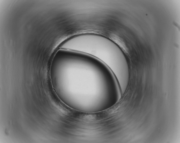 X0000095900156200801110812