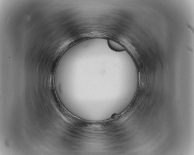 X0000095900157200801110812
