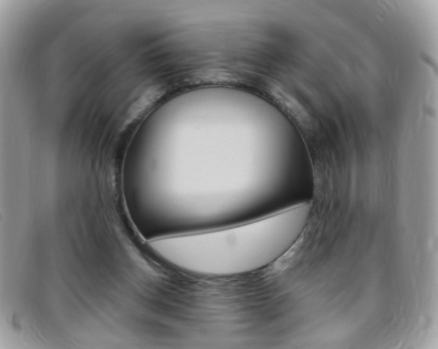 X0000095900158200801110812