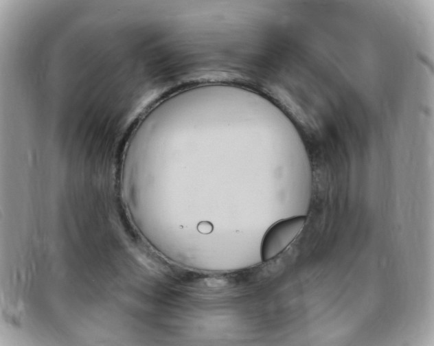 X0000095900159200801110812