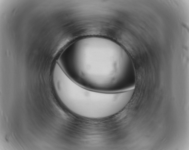 X0000095900160200801110812