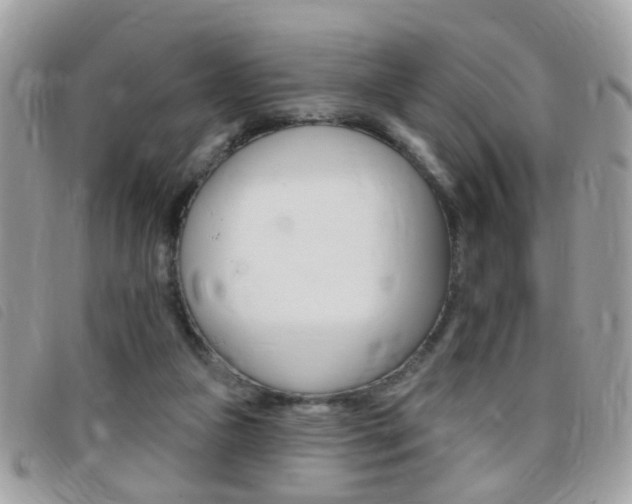 X0000095900161200801110812