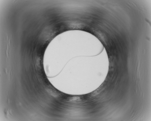 X0000095900162200801110812