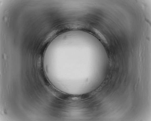 X0000095900163200801110813