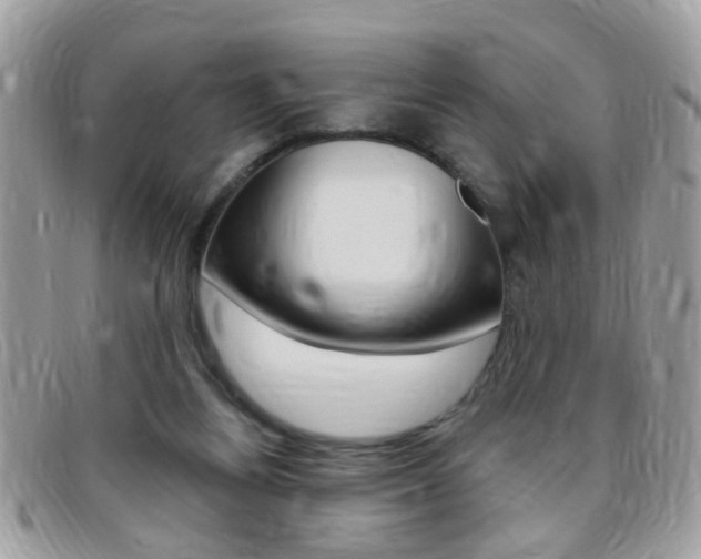 X0000095900164200801110813