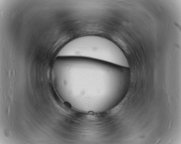 X0000095900166200801110813