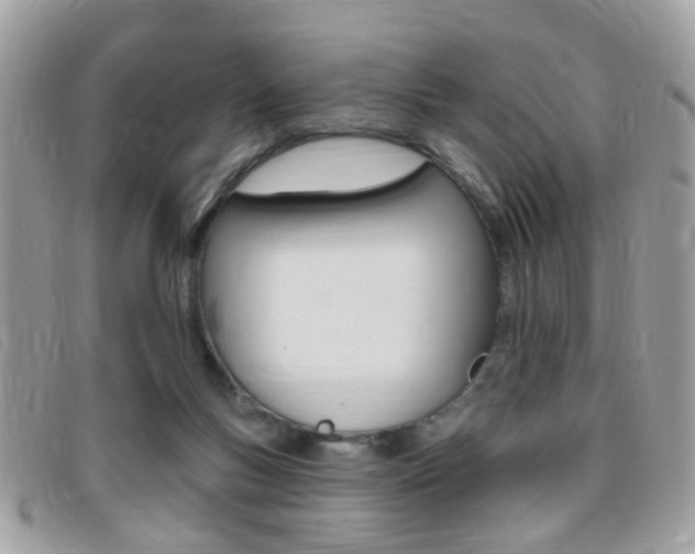 X0000095900167200801110813