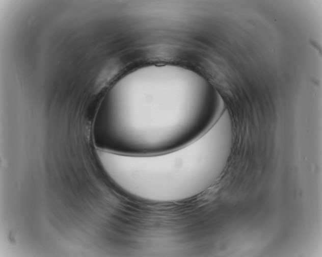 X0000095900168200801110813