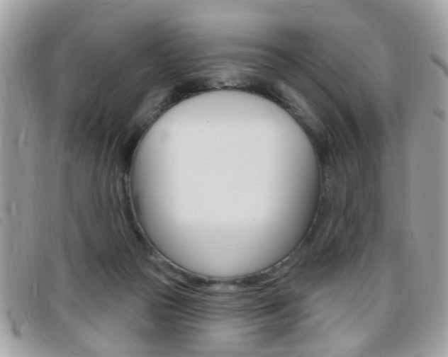 X0000095900169200801110813