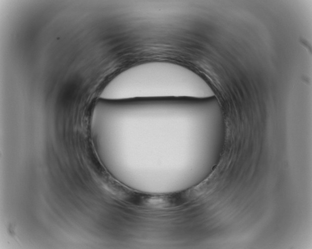 X0000095900171200801110813