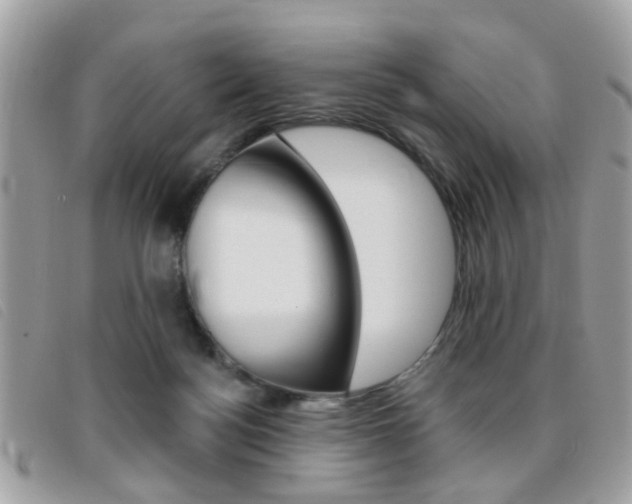 X0000095900172200801110813