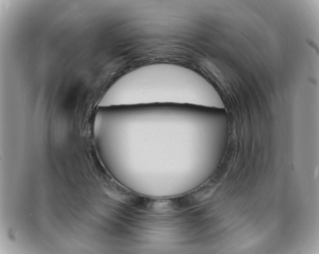 X0000095900173200801110813