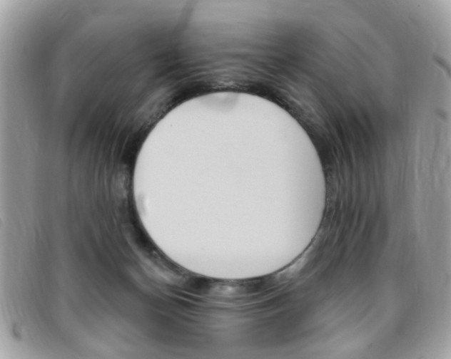 X0000095900174200801110813