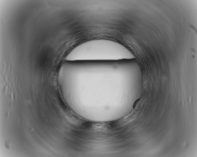 X0000095900175200801110813