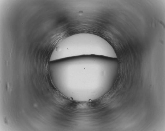 X0000095900177200801110813