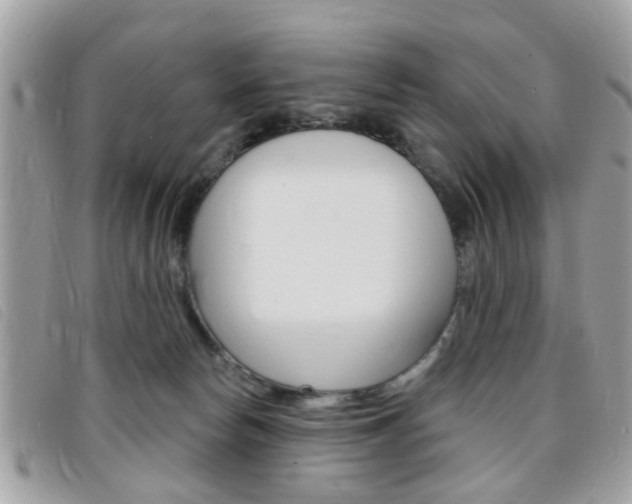 X0000095900178200801110813