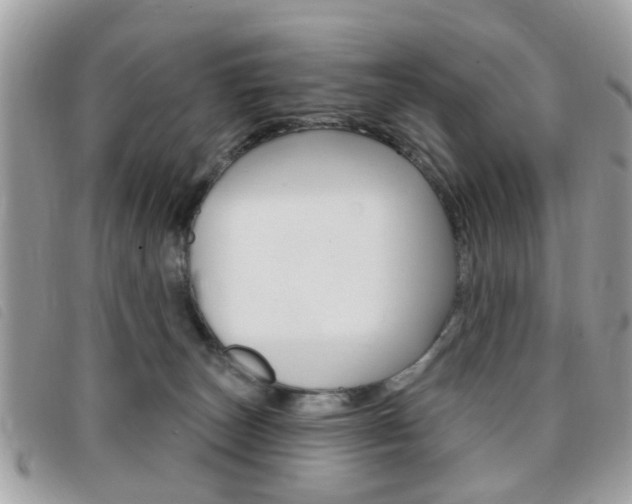 X0000095900179200801110813