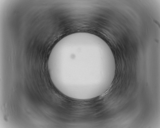 X0000095900180200801110813