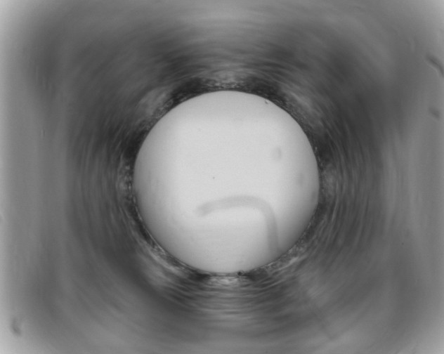X0000095900181200801110813