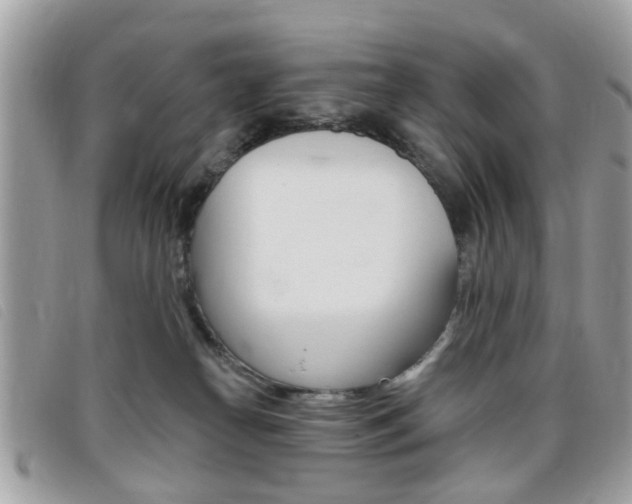 X0000095900182200801110813