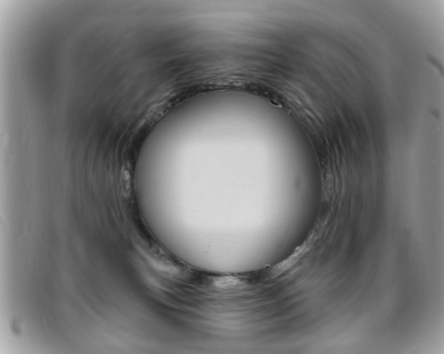 X0000095900183200801110813